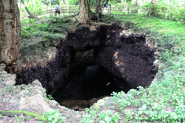 Davao Part 6: Samal Island’s  Amazing Monfort Bat Cave