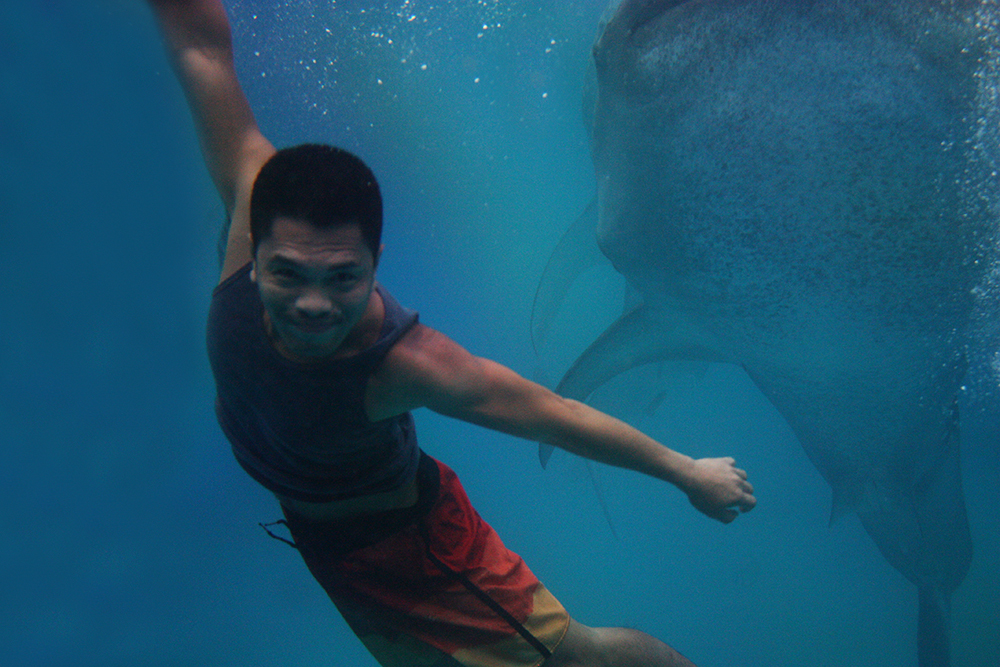 A Refreshing Morning with the Whale Sharks of Tan-awan,Oslob